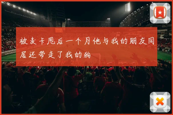 被麦卡甩后一个月他与我的朋友同居还带走了我的狗