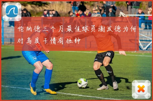 伦纳德三个月最佳球员谢泼德为何对乌度卡情有独钟