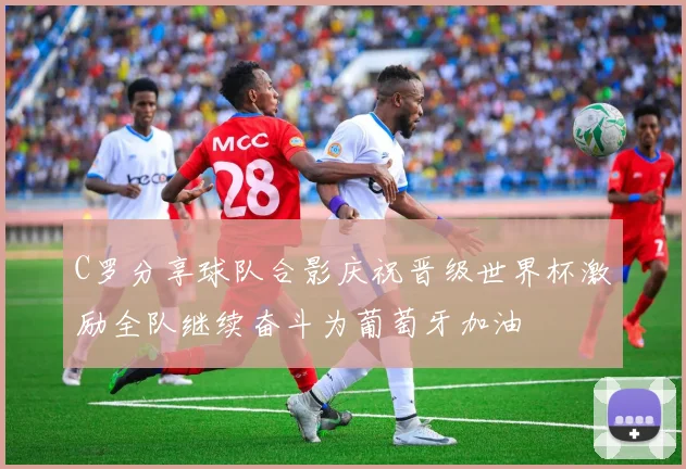 C罗分享球队合影庆祝晋级世界杯激励全队继续奋斗为葡萄牙加油