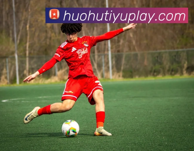 火狐体育平台生态图